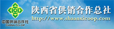 陕西省供销合作总社